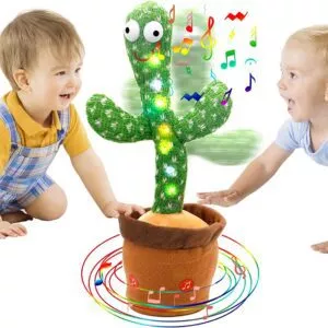 Dancing cactus Nigeria