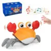 Dancing crab