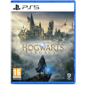 PS5 Hogwarts Legacy
